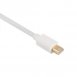 Mini DisplayPort 公對公傳輸線